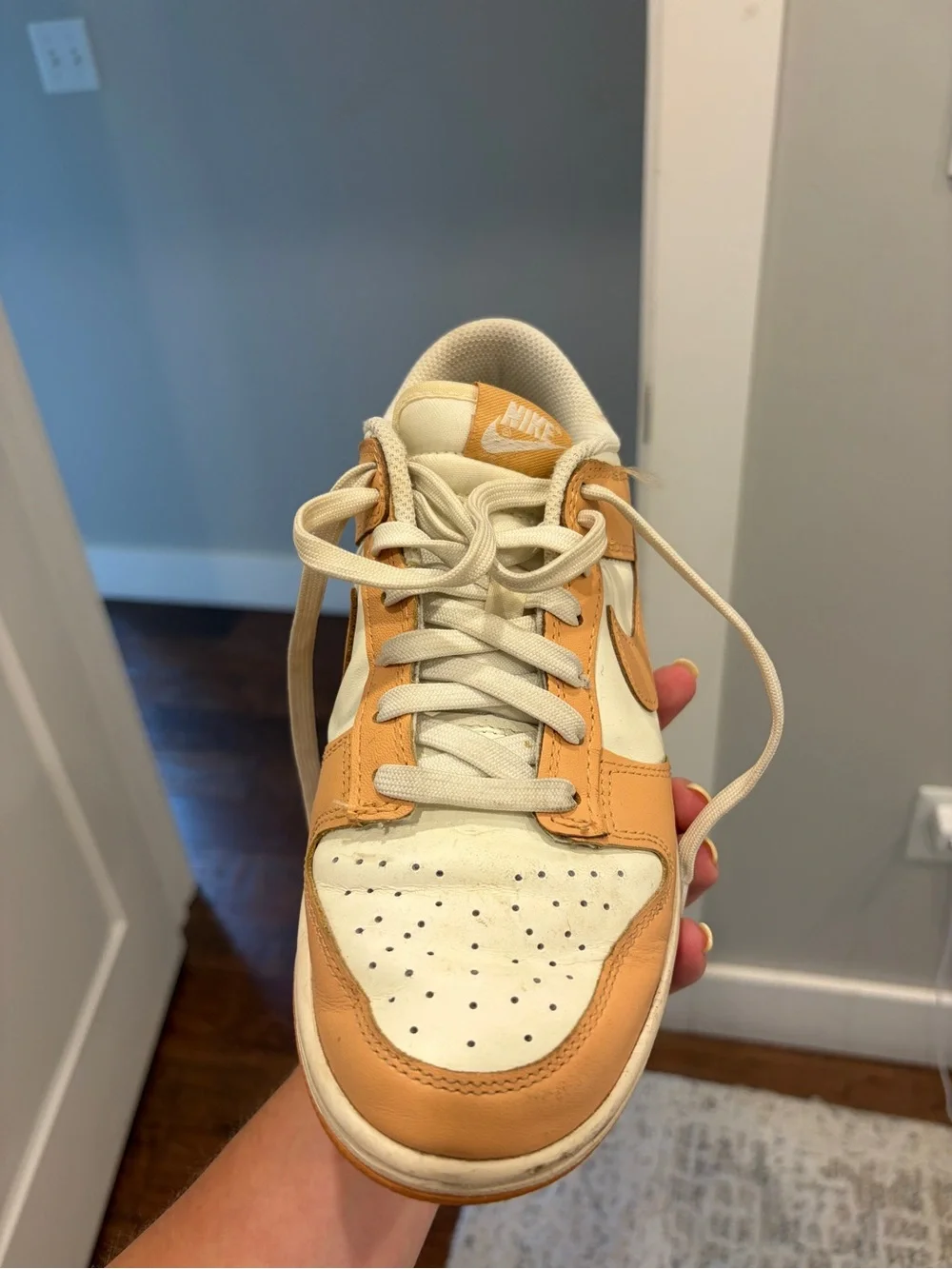 Nike classic low